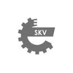 ESEN SKV